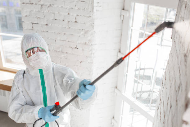 Best Residential Mold Inspection & Testing  in West Liberty, KY