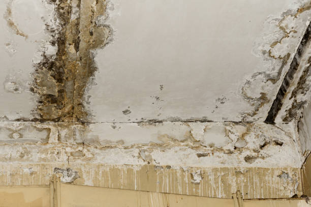 Best Indoor Air Quality Assessment  in West Liberty, KY
