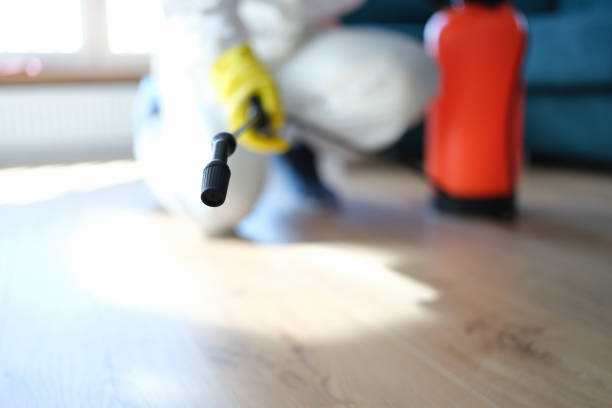 Best Biohazard Mold Removal  in West Liberty, KY